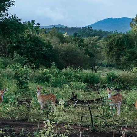 Lakegala Resort Matale Bagian luar foto