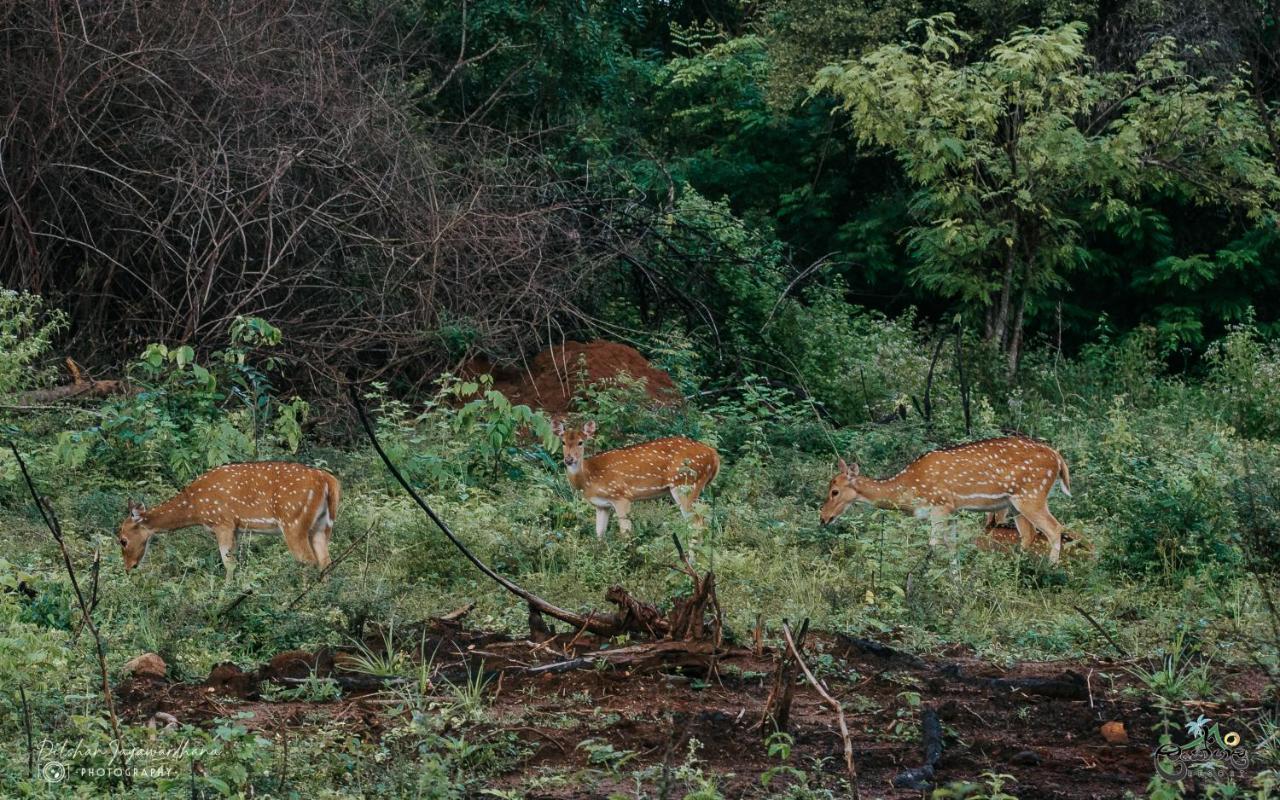 Lakegala Resort Matale Bagian luar foto
