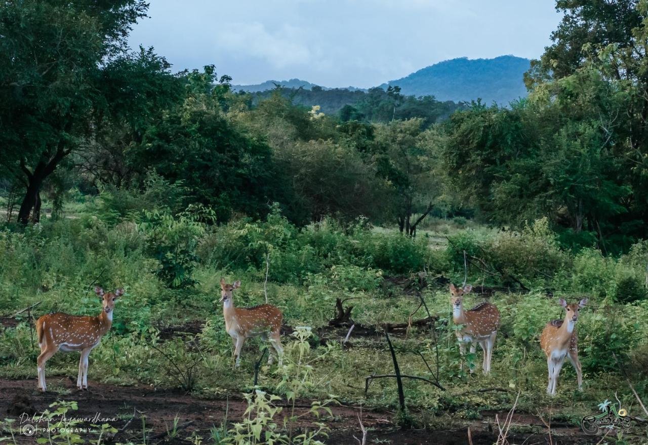 Lakegala Resort Matale Bagian luar foto